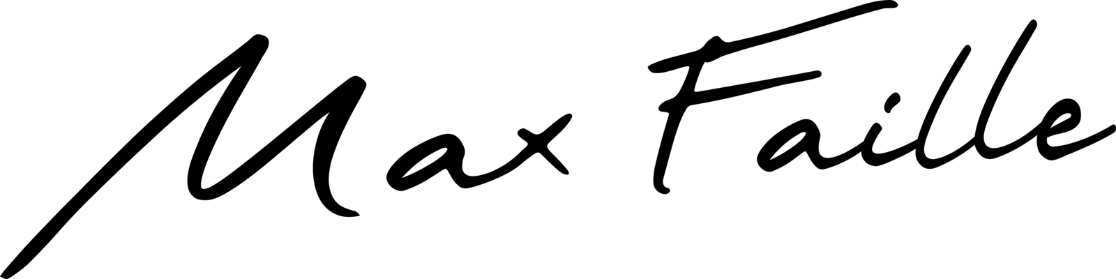 max faille signature